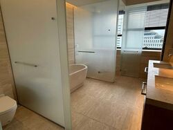 Hana (D10), Condominium #521239551